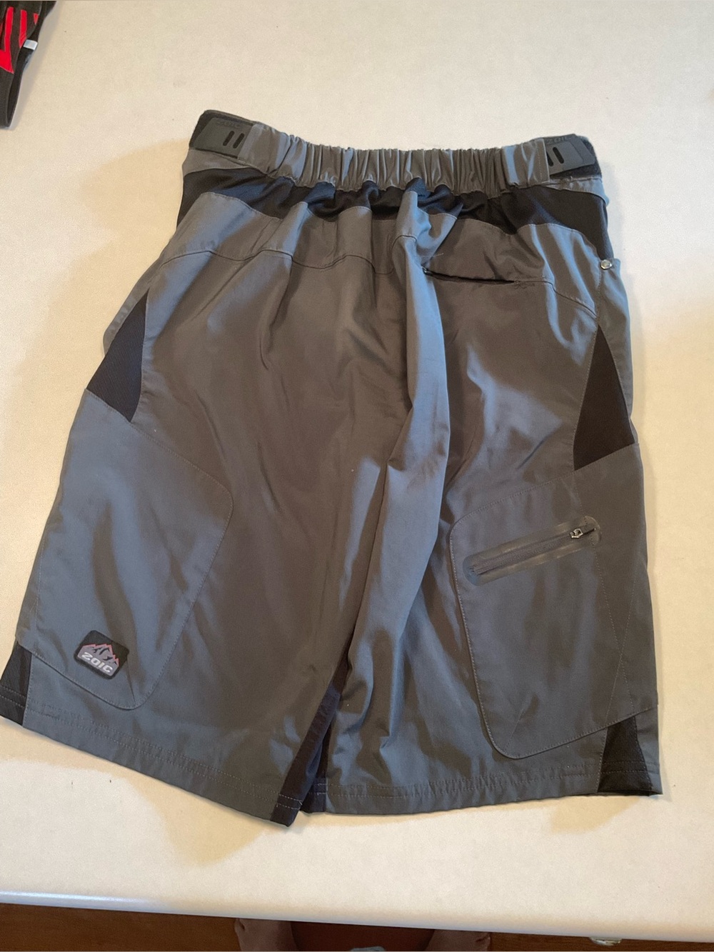 ZOIC Ether 12" Men’s Mountain Biking Shorts - Picture 11 of 15